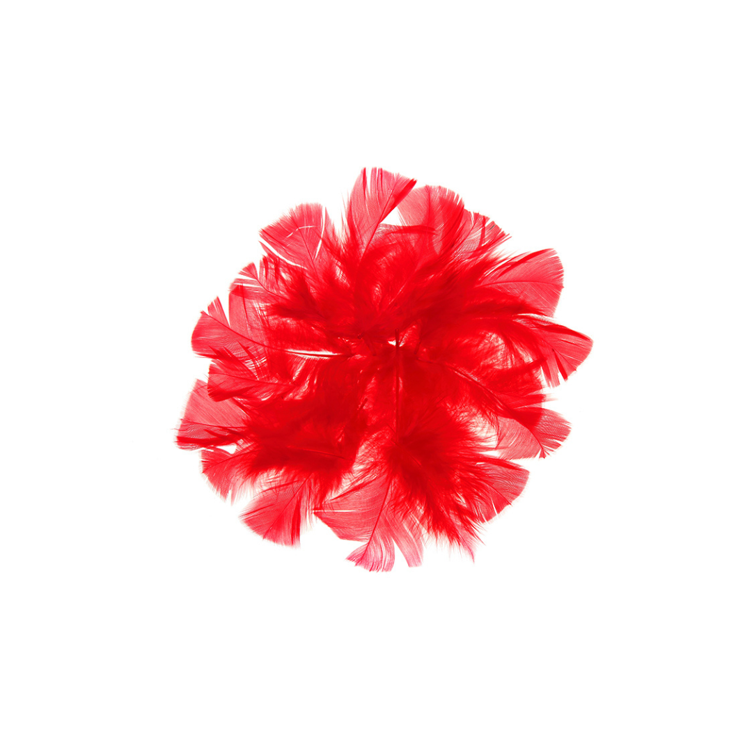 PLUMAS COLOR ROJO bolsa 18 grs