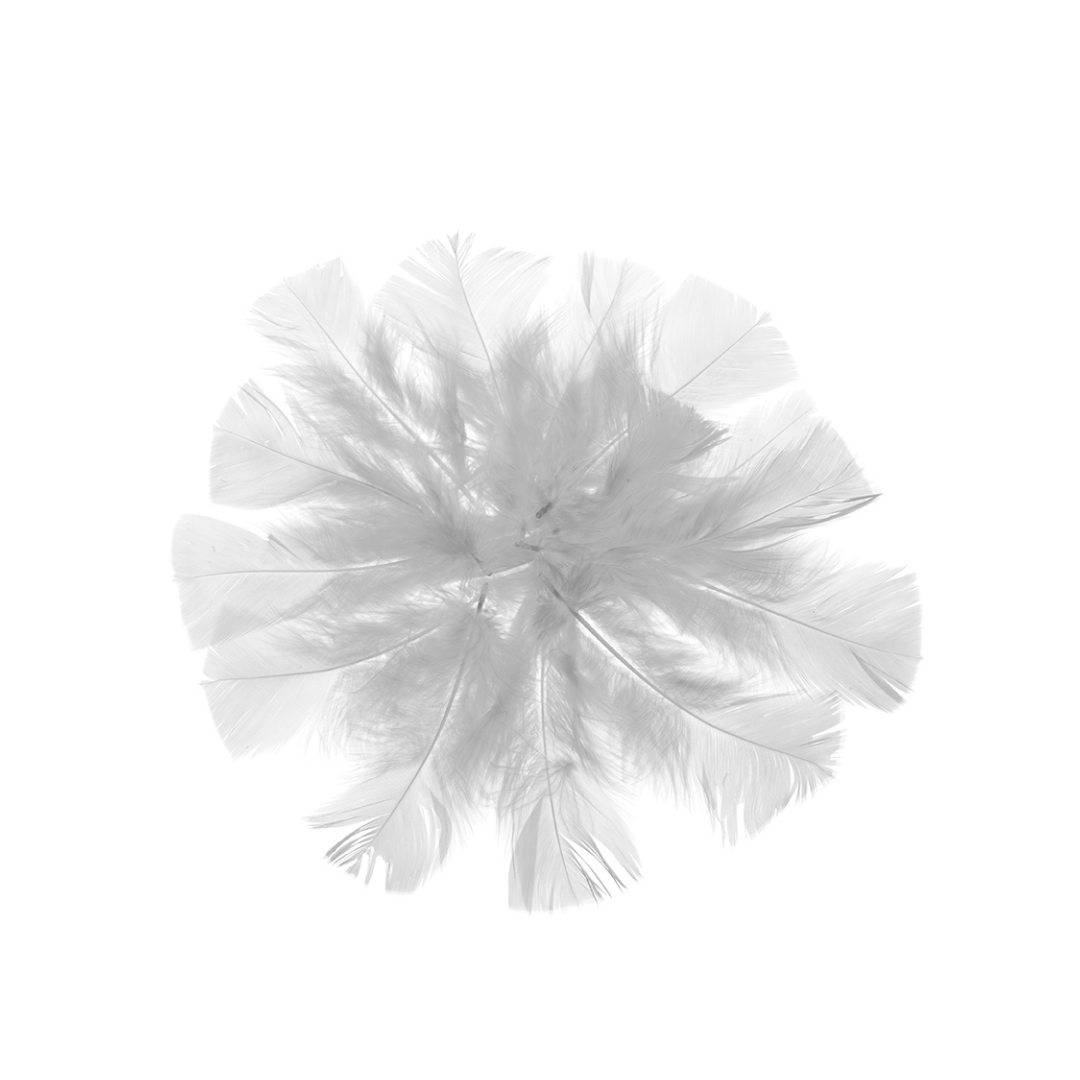 PLUMAS DE COLOR BLANCO BOLSA DE 18grs