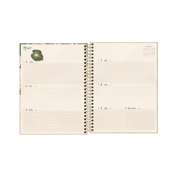 AGENDA DIARIA EN ESPIRAL 2024 PLANNER NATURALI M7