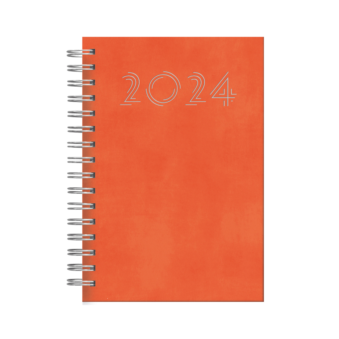 AGENDA DIARIA ESPIRAL 2024 (14.5 X 20.5) WALL Surtidas