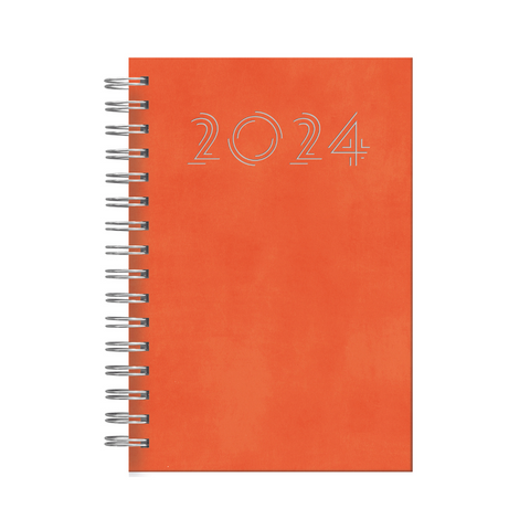 AGENDA DIARIA ESPIRAL 2024 (14.5 X 20.5) WALL Surtidas