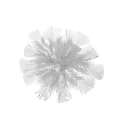 PLUMAS DE COLOR BLANCO BOLSA DE 18grs