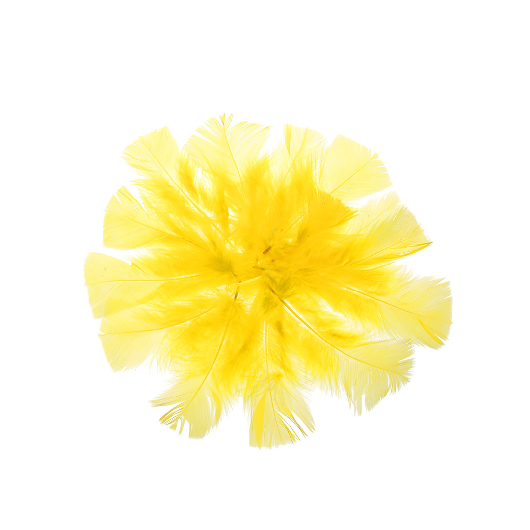 PLUMAS COLOR AMARILLO BOLSA 18 grs