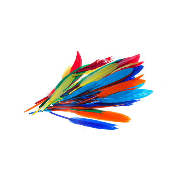 PLUMAS DE COLORES (11-15 cm) 60 plumas