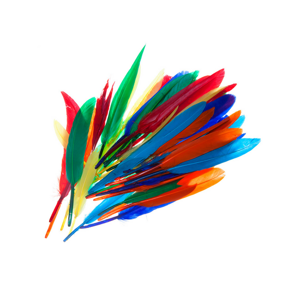 PLUMAS GRANDES DE COLORES (16-23 cm) 24/1 BL