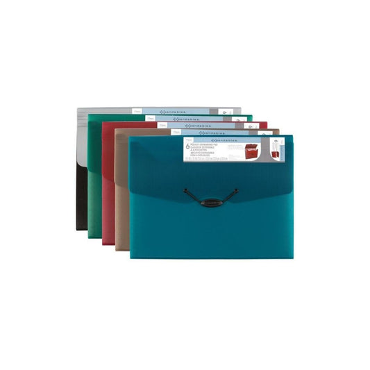 FOLDERS ACORDEON PLASTICO  6DIV.9-1/4X13 SURTIDO PAQ. 6