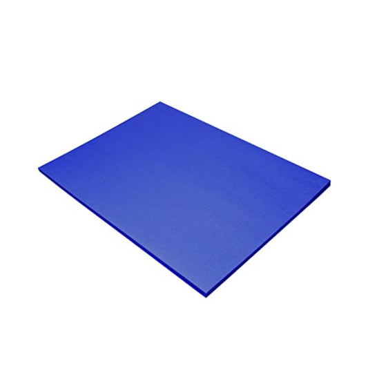 PAPEL CONSTRUCCION (18 X 24) AZUL PAQ. 50
