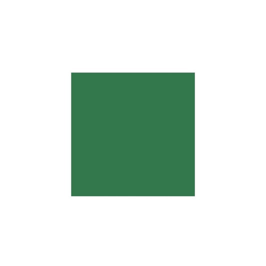 CARTULINA VIVALDI (50x65) VERDE ABETO