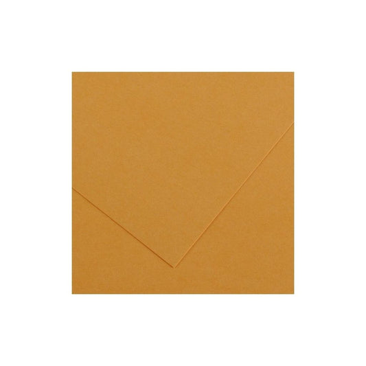 CARTULINA VIVALDI (50x65) CUERO