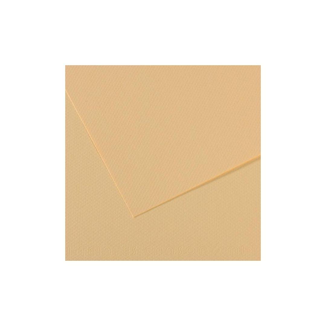 PAPEL MI-TEINTES (50 X 65 cm)LIQUEN PAQ. 25