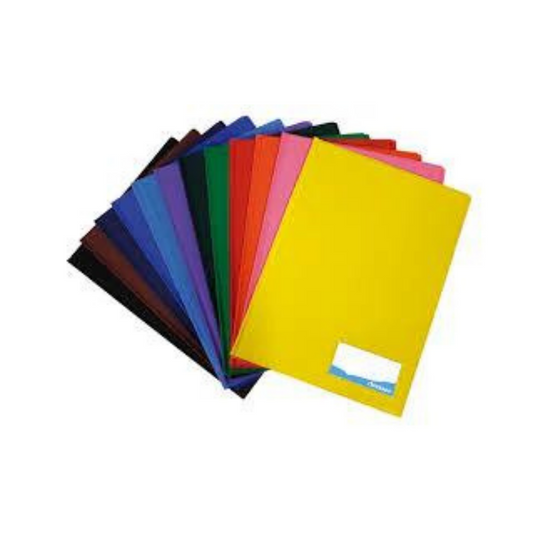 FOLDER PLASTICO C/BOLSILLO TRANSL. AHUMADO PAQ. 24