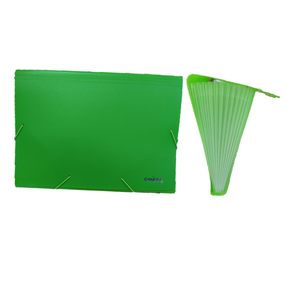 FOLDERS ACORDEON PLASTICO (10X12) 13Div. C/ELASTICO VERDE PAQ. 12