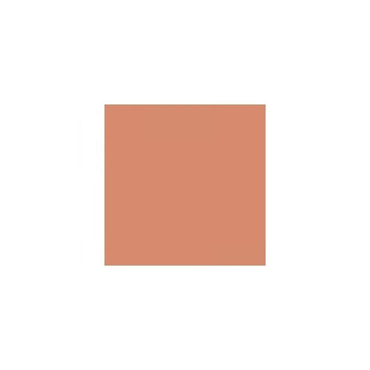 CARTULINA VIVALDI (50x65) ROJO CORAL (84)