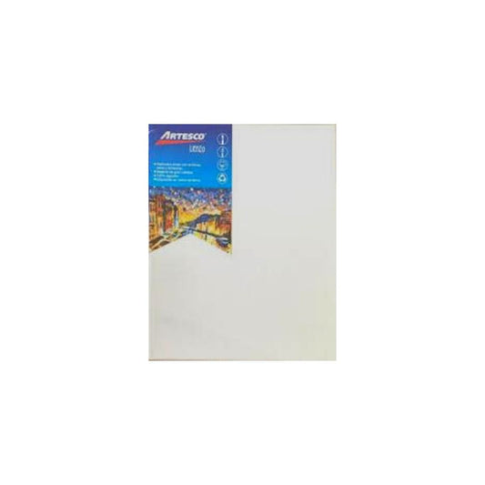CANVAS (10 X 14) UNIDAD 1