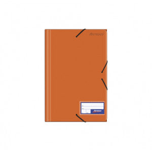 FOLDERS PLASTICO C/ELASTICO Y BROCHE NARANJA (8.5 X 13) PAQ. 12