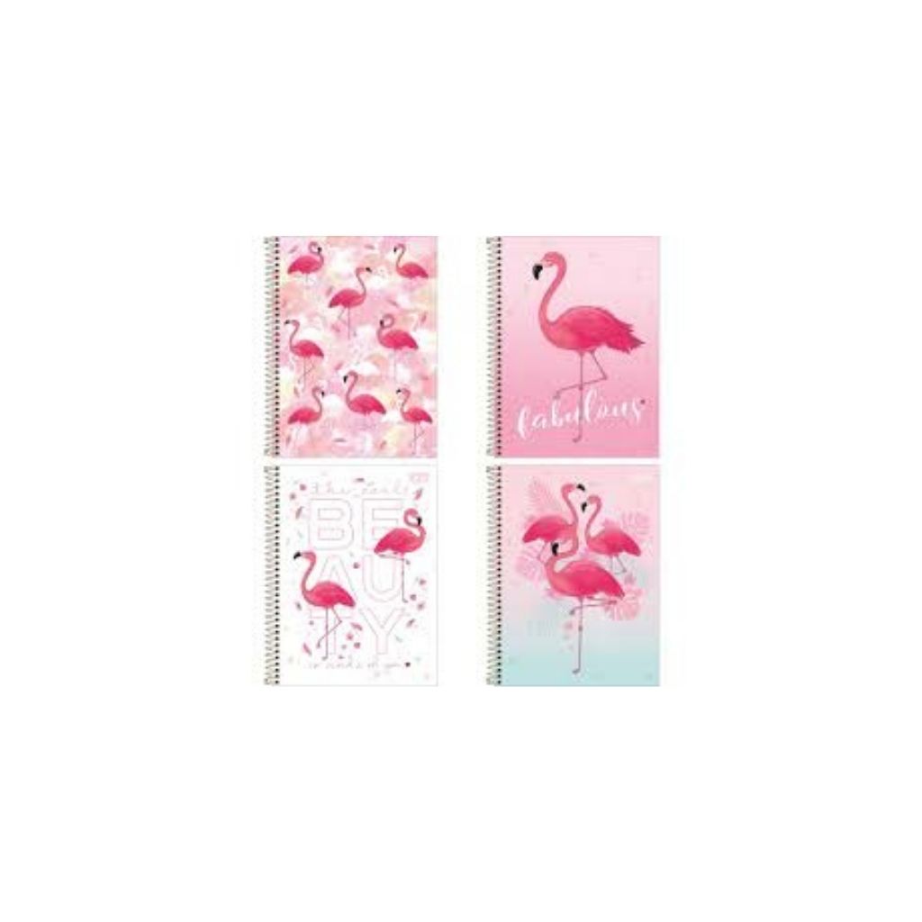 CATEDRA ESP. GDE. 10 DIV. 160H ALOHA ROSA PAQ. 4