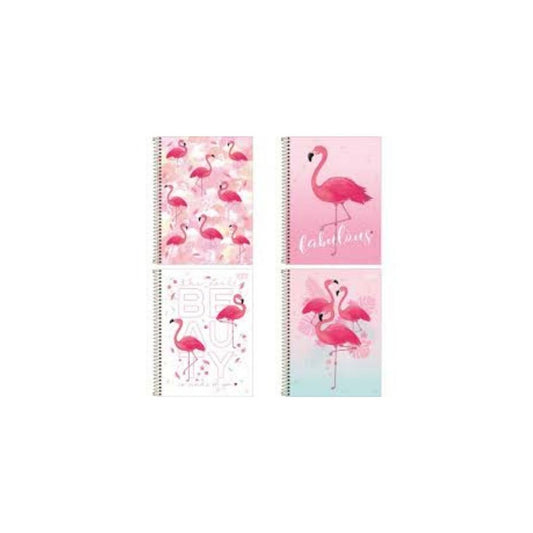 CATEDRA ESP. GDE. 10 DIV. 160H ALOHA ROSA PAQ. 4
