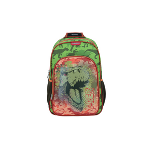 MOCHILAS CHENSON GRANDE CO REXTY XX UNIDAD 1